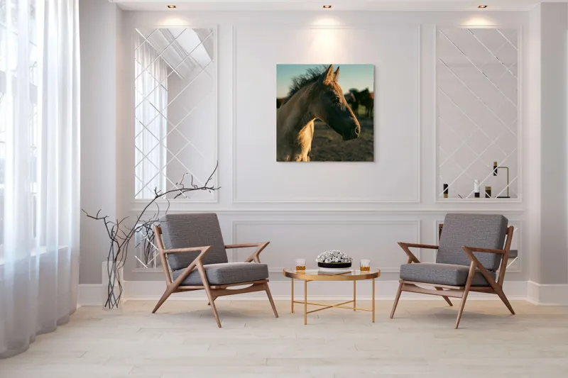 Tablou Canvas, "Mânzul sub cerul senin", Cal, Mânz, Apus, Câmpie, Umbră, Blană, Cer, Natură, Tranquilitate, 100 x 100 cm – poza 7