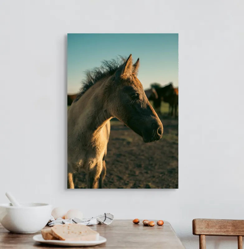 Tablou Canvas, "Mânzul sub cerul senin", Cal, Mânz, Apus, Câmpie, Umbră, Blană, Cer, Natură, Tranquilitate, 50 x 70 cm – poza 3