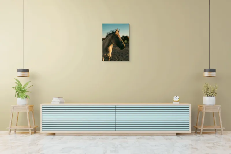 Tablou Canvas, "Mânzul sub cerul senin", Cal, Mânz, Apus, Câmpie, Umbră, Blană, Cer, Natură, Tranquilitate, 50 x 70 cm – poza 6