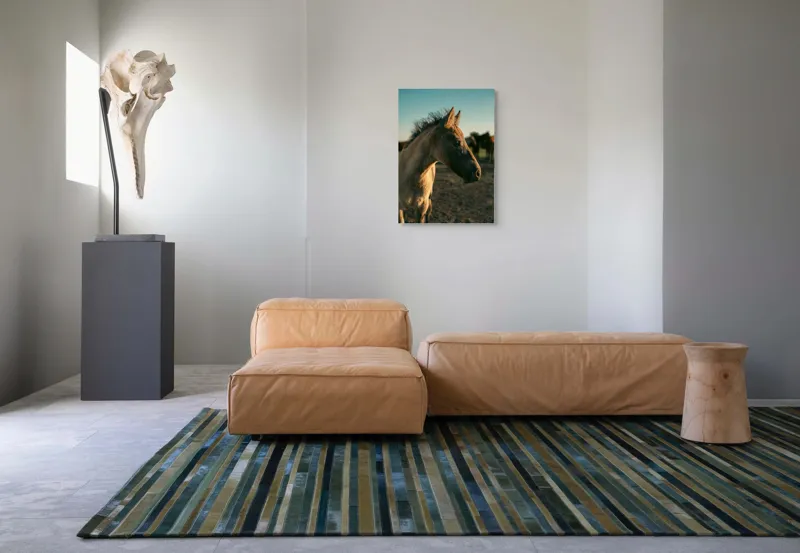 Tablou Canvas, "Mânzul sub cerul senin", Cal, Mânz, Apus, Câmpie, Umbră, Blană, Cer, Natură, Tranquilitate, 50 x 70 cm – poza 7