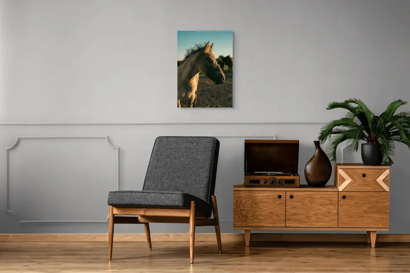 Tablou Canvas, "Mânzul sub cerul senin", Cal, Mânz, Apus, Câmpie, Umbră, Blană, Cer, Natură, Tranquilitate, 50 x 70 cm – poza 8