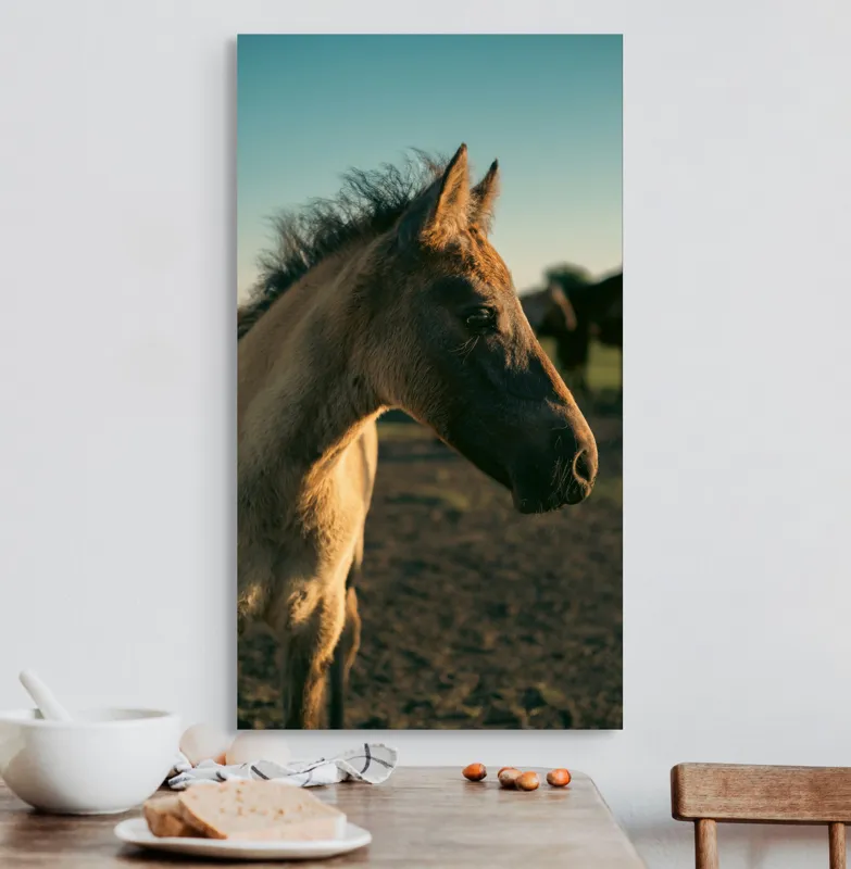 Tablou Canvas, "Mânzul sub cerul senin", Cal, Mânz, Apus, Câmpie, Umbră, Blană, Cer, Natură, Tranquilitate, 50 x 90 cm – poza 3