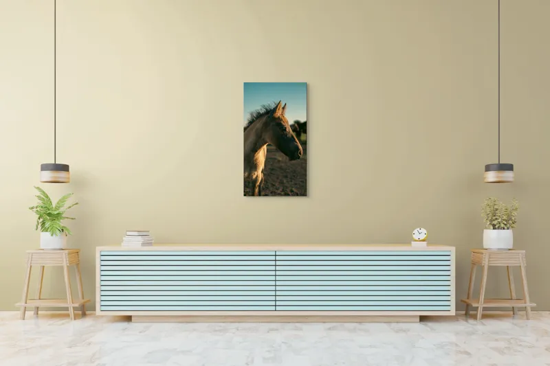 Tablou Canvas, "Mânzul sub cerul senin", Cal, Mânz, Apus, Câmpie, Umbră, Blană, Cer, Natură, Tranquilitate, 50 x 90 cm – poza 6