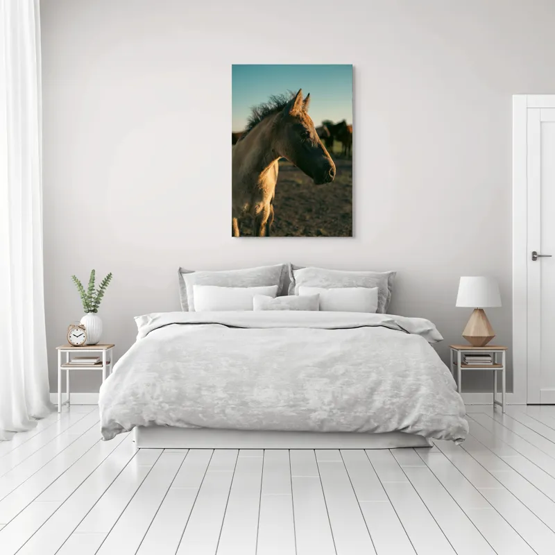 Tablou Canvas, "Mânzul sub cerul senin", Cal, Mânz, Apus, Câmpie, Umbră, Blană, Cer, Natură, Tranquilitate, 70 x 100 cm – poza 3
