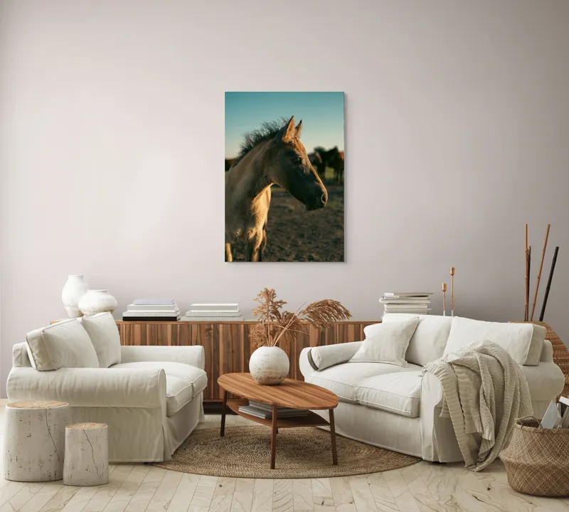 Tablou Canvas, "Mânzul sub cerul senin", Cal, Mânz, Apus, Câmpie, Umbră, Blană, Cer, Natură, Tranquilitate, 70 x 100 cm – poza 4