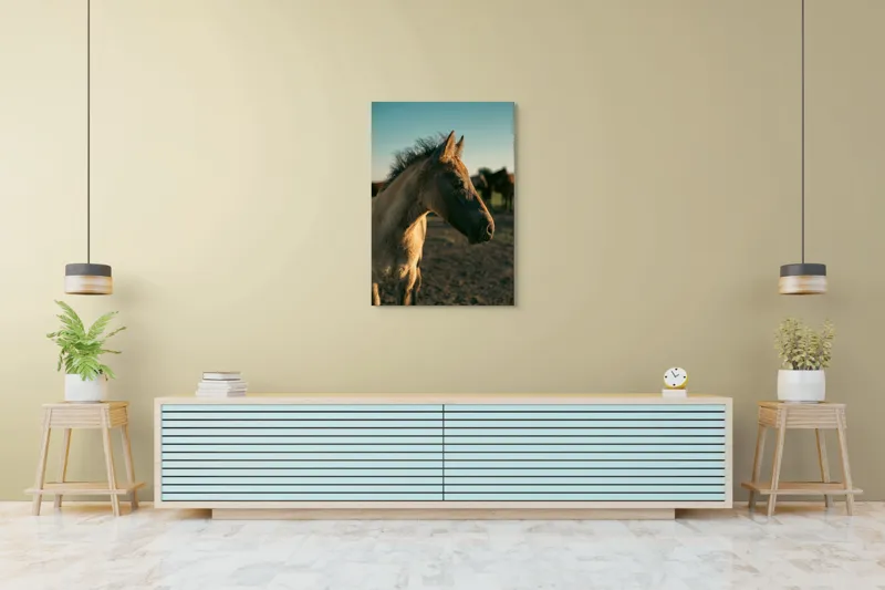 Tablou Canvas, "Mânzul sub cerul senin", Cal, Mânz, Apus, Câmpie, Umbră, Blană, Cer, Natură, Tranquilitate, 70 x 100 cm – poza 5
