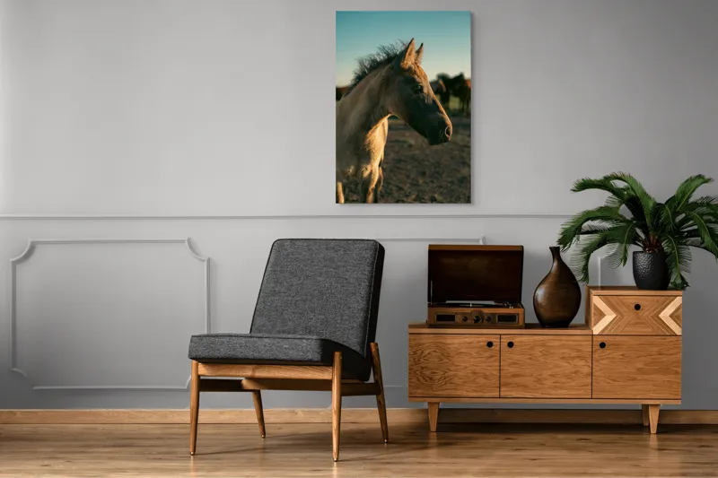 Tablou Canvas, "Mânzul sub cerul senin", Cal, Mânz, Apus, Câmpie, Umbră, Blană, Cer, Natură, Tranquilitate, 70 x 100 cm – poza 6