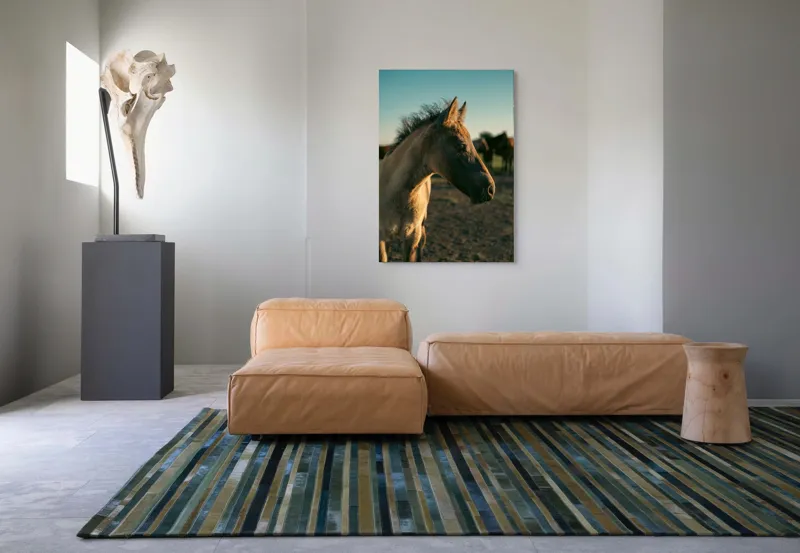 Tablou Canvas, "Mânzul sub cerul senin", Cal, Mânz, Apus, Câmpie, Umbră, Blană, Cer, Natură, Tranquilitate, 70 x 100 cm – poza 7