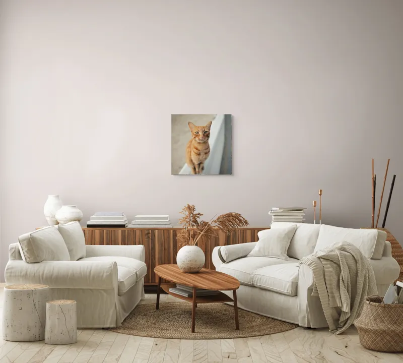 Tablou Canvas Pisică Portocalie pe Margine de Drum Decorativ, 50 x 50 cm – poza 7