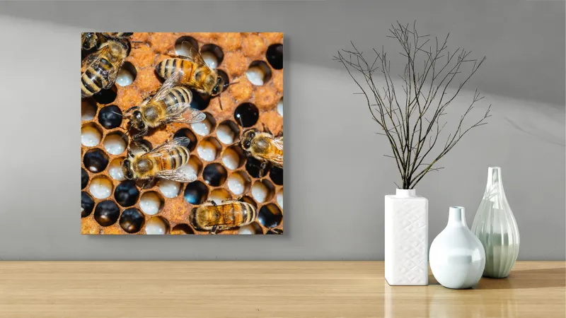 Tablou Canvas, "Albine lucrând în stupul lor", Albine, Fagure, Miere, Hexagoane, Nectar, Polen, Aripi, Muncă, 50 x 50 cm – poza 3