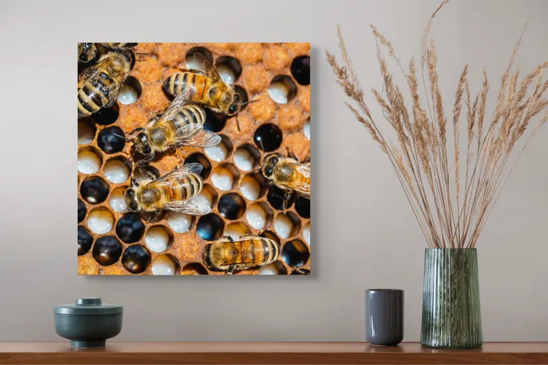 Tablou Canvas, "Albine lucrând în stupul lor", Albine, Fagure, Miere, Hexagoane, Nectar, Polen, Aripi, Muncă, 50 x 50 cm – poza 4