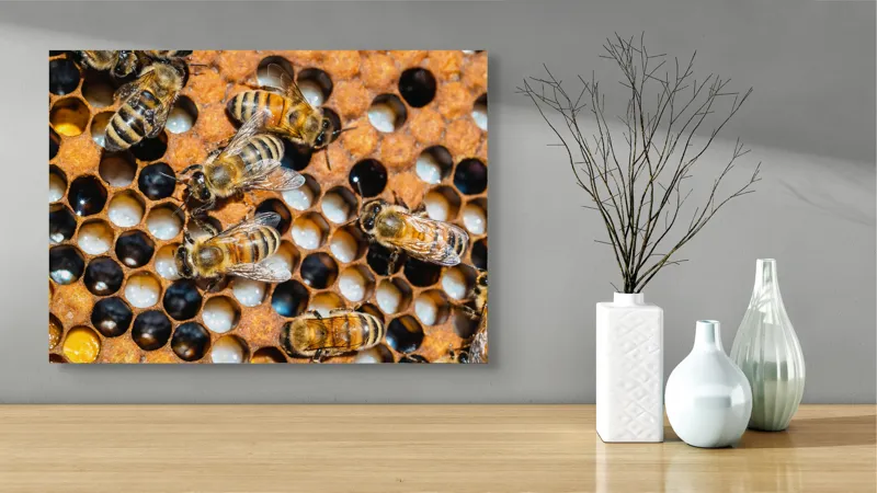 Tablou Canvas, "Albine lucrând în stupul lor", Albine, Fagure, Miere, Hexagoane, Nectar, Polen, Aripi, Muncă, 70 x 50 cm – poza 3