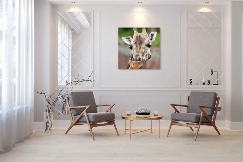 Tablou Canvas, "Întâlnire cu grațioasa girafă africană", Gât, Pete, Urechi, Blândețe, Privire, Animal, Înalțime, Natură, 100 x 100 cm – poza 7