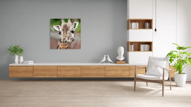 Tablou Canvas, "Întâlnire cu grațioasa girafă africană", Gât, Pete, Urechi, Blândețe, Privire, Animal, Înalțime, Natură, 100 x 100 cm – poza 8