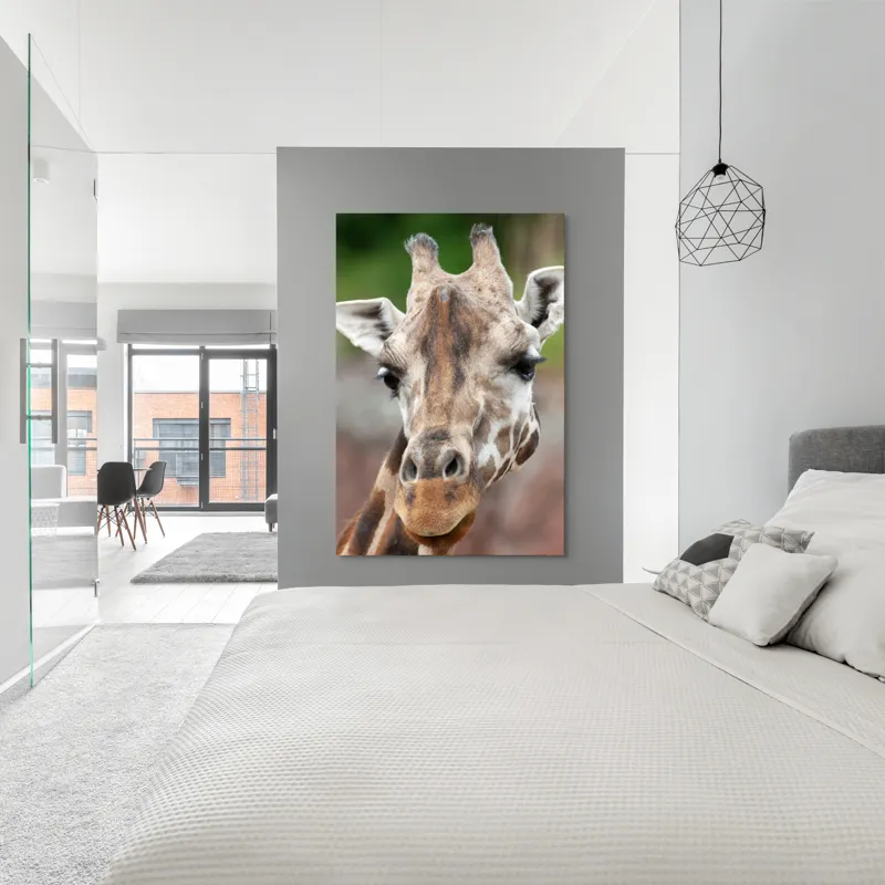 Tablou Canvas, "Întâlnire cu grațioasa girafă africană", Gât, Pete, Urechi, Blândețe, Privire, Animal, Înalțime, Natură, 100 x 150 cm – poza 5
