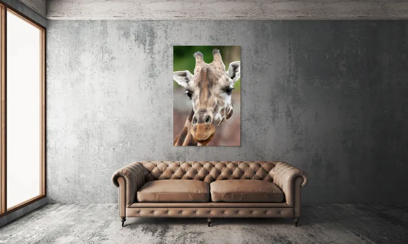 Tablou Canvas, "Întâlnire cu grațioasa girafă africană", Gât, Pete, Urechi, Blândețe, Privire, Animal, Înalțime, Natură, 100 x 150 cm – poza 6