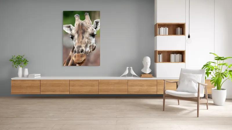 Tablou Canvas, "Întâlnire cu grațioasa girafă africană", Gât, Pete, Urechi, Blândețe, Privire, Animal, Înalțime, Natură, 100 x 150 cm – poza 8