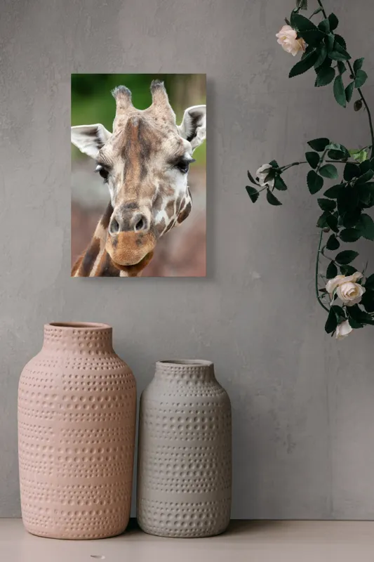Tablou Canvas, "Întâlnire cu grațioasa girafă africană", Gât, Pete, Urechi, Blândețe, Privire, Animal, Înalțime, Natură, 26 x 39 cm – poza 6