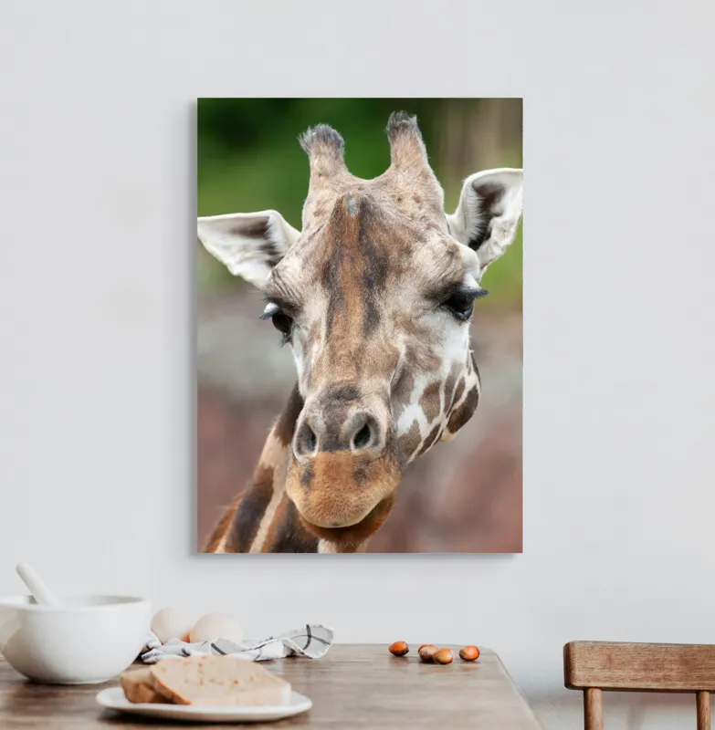 Tablou Canvas, "Întâlnire cu grațioasa girafă africană", Gât, Pete, Urechi, Blândețe, Privire, Animal, Înalțime, Natură, 50 x 70 cm – poza 3