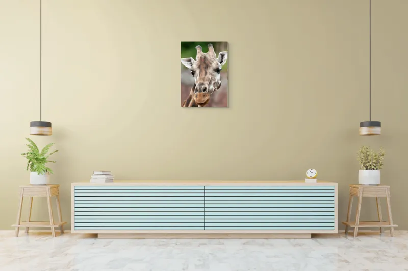 Tablou Canvas, "Întâlnire cu grațioasa girafă africană", Gât, Pete, Urechi, Blândețe, Privire, Animal, Înalțime, Natură, 50 x 70 cm – poza 6