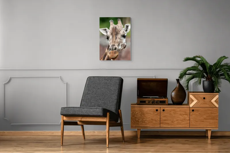 Tablou Canvas, "Întâlnire cu grațioasa girafă africană", Gât, Pete, Urechi, Blândețe, Privire, Animal, Înalțime, Natură, 50 x 70 cm – poza 8
