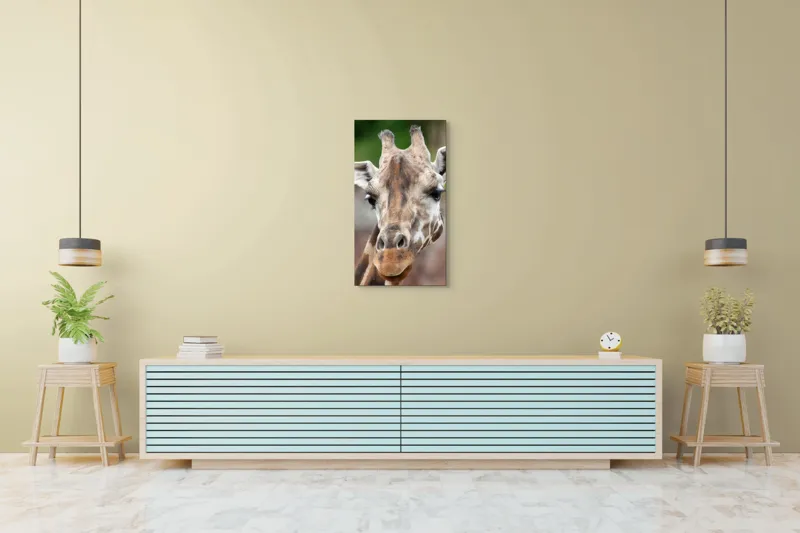Tablou Canvas, "Întâlnire cu grațioasa girafă africană", Gât, Pete, Urechi, Blândețe, Privire, Animal, Înalțime, Natură, 50 x 90 cm – poza 6
