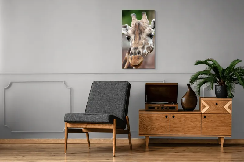 Tablou Canvas, "Întâlnire cu grațioasa girafă africană", Gât, Pete, Urechi, Blândețe, Privire, Animal, Înalțime, Natură, 50 x 90 cm – poza 8