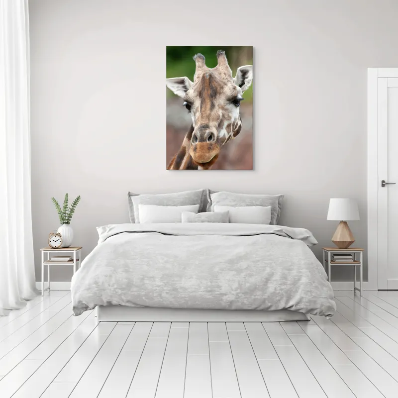 Tablou Canvas, "Întâlnire cu grațioasa girafă africană", Gât, Pete, Urechi, Blândețe, Privire, Animal, Înalțime, Natură, 70 x 100 cm – poza 3