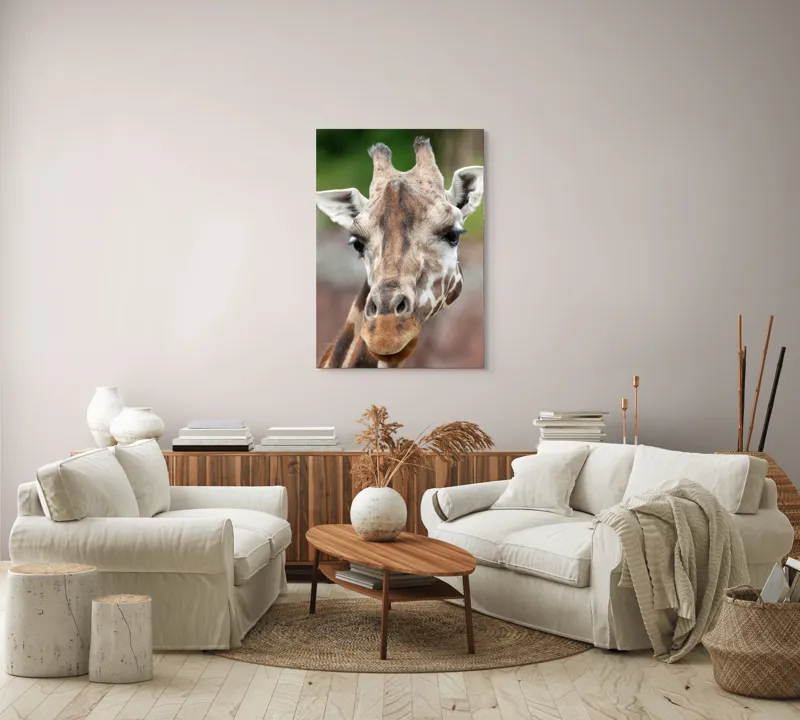 Tablou Canvas, "Întâlnire cu grațioasa girafă africană", Gât, Pete, Urechi, Blândețe, Privire, Animal, Înalțime, Natură, 70 x 100 cm – poza 4