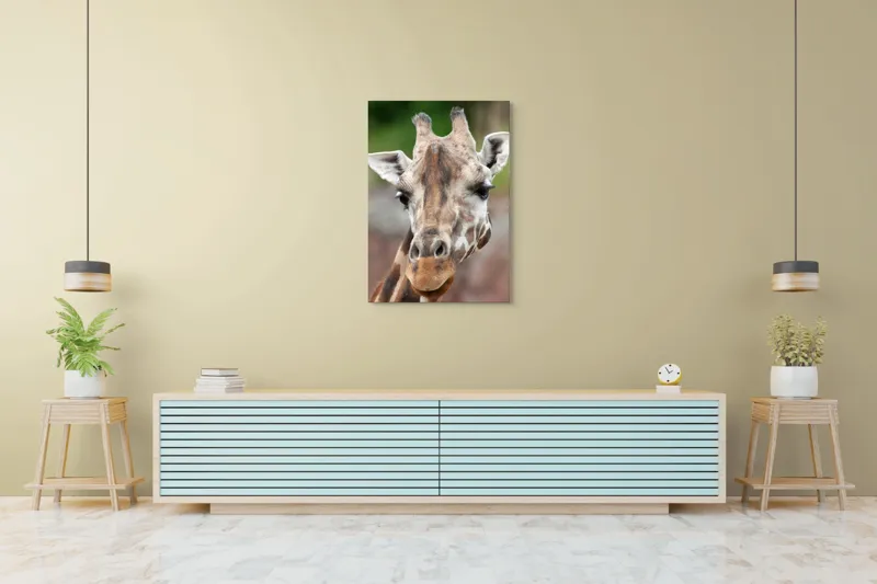 Tablou Canvas, "Întâlnire cu grațioasa girafă africană", Gât, Pete, Urechi, Blândețe, Privire, Animal, Înalțime, Natură, 70 x 100 cm – poza 5