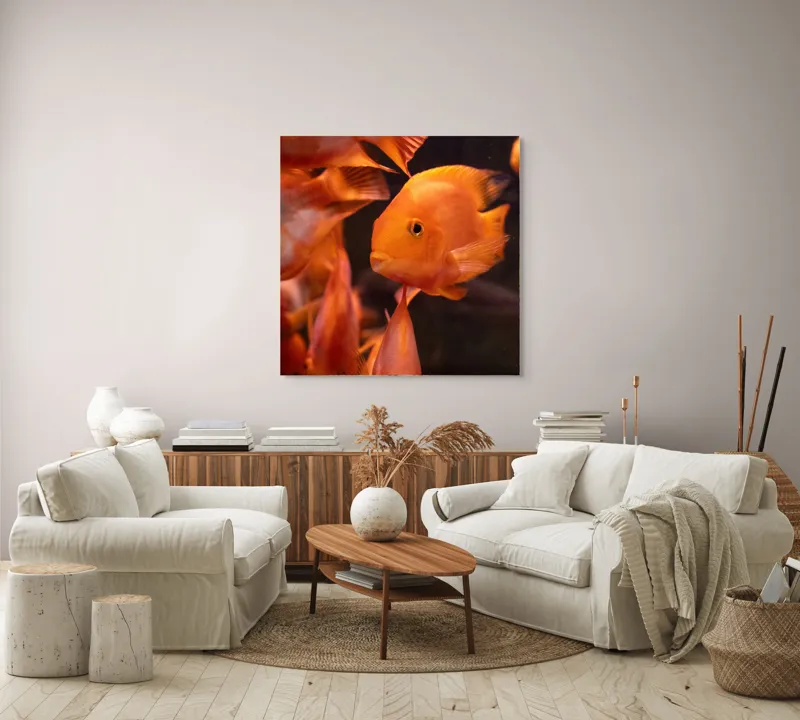 Tablou Canvas, "Dansul peștilor portocalii în apă", Portocaliu, Pește, Apă, Înot, Reflexie, Solzi, Aripioare, 100 x 100 cm – poza 3