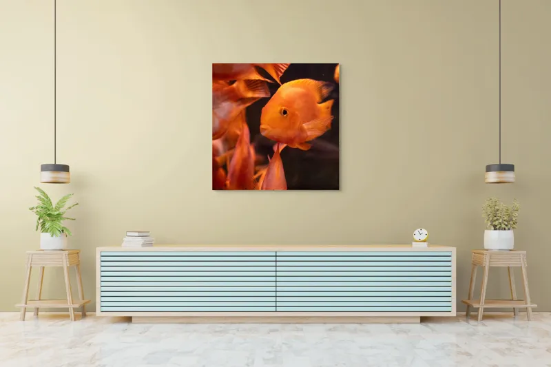 Tablou Canvas, "Dansul peștilor portocalii în apă", Portocaliu, Pește, Apă, Înot, Reflexie, Solzi, Aripioare, 100 x 100 cm – poza 5