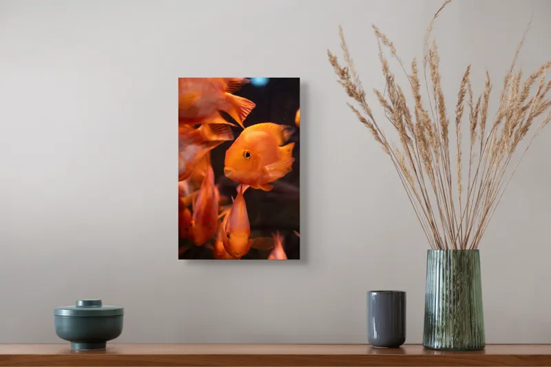 Tablou Canvas, "Dansul peștilor portocalii în apă", Portocaliu, Pește, Apă, Înot, Reflexie, Solzi, Aripioare, 26 x 39 cm – poza 5