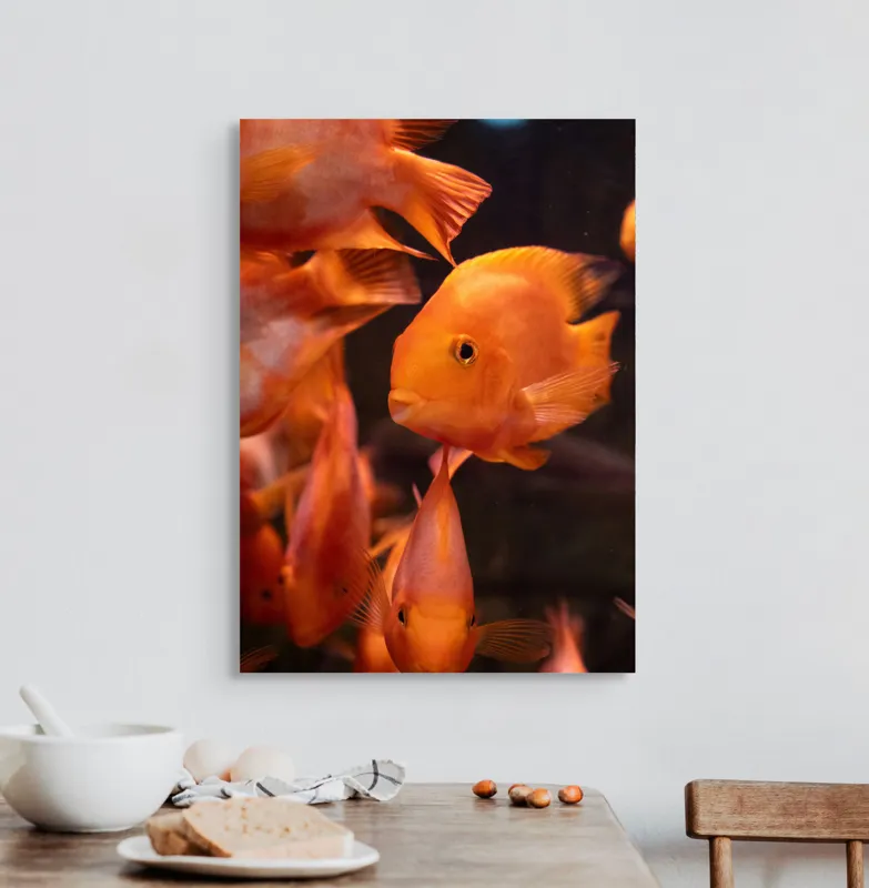 Tablou Canvas, "Dansul peștilor portocalii în apă", Portocaliu, Pește, Apă, Înot, Reflexie, Solzi, Aripioare, 50 x 70 cm – poza 3