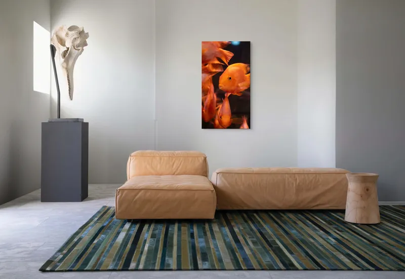 Tablou Canvas, "Dansul peștilor portocalii în apă", Portocaliu, Pește, Apă, Înot, Reflexie, Solzi, Aripioare, 50 x 90 cm – poza 5