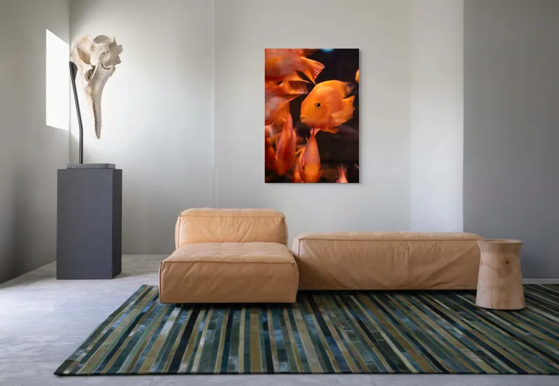 Tablou Canvas, "Dansul peștilor portocalii în apă", Portocaliu, Pește, Apă, Înot, Reflexie, Solzi, Aripioare, 70 x 100 cm – poza 7