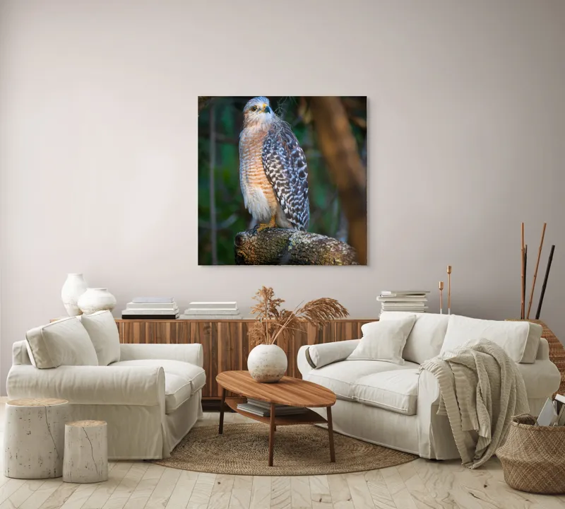 Tablou Canvas, "Șoimul veghează pădurea liniștită", Vultur, Ramură, Pene, Privire, Natură, Lumină, Frumusețe, Sălbatic, Plante, Cer🦅, 100 x 100 cm – poza 3
