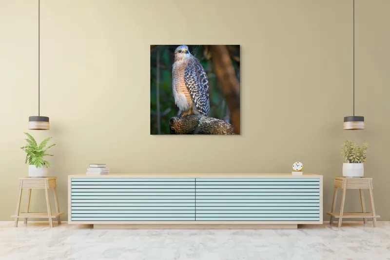 Tablou Canvas, "Șoimul veghează pădurea liniștită", Vultur, Ramură, Pene, Privire, Natură, Lumină, Frumusețe, Sălbatic, Plante, Cer🦅, 100 x 100 cm – poza 5