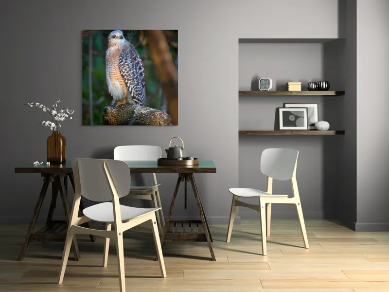 Tablou Canvas, "Șoimul veghează pădurea liniștită", Vultur, Ramură, Pene, Privire, Natură, Lumină, Frumusețe, Sălbatic, Plante, Cer🦅, 100 x 100 cm – poza 6
