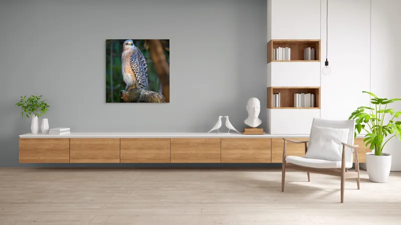 Tablou Canvas, "Șoimul veghează pădurea liniștită", Vultur, Ramură, Pene, Privire, Natură, Lumină, Frumusețe, Sălbatic, Plante, Cer🦅, 100 x 100 cm – poza 8