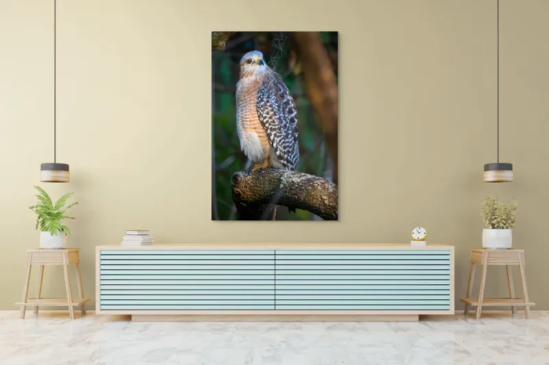 Tablou Canvas, "Șoimul veghează pădurea liniștită", Vultur, Ramură, Pene, Privire, Natură, Lumină, Frumusețe, Sălbatic, Plante, Cer🦅, 100 x 150 cm – poza 4