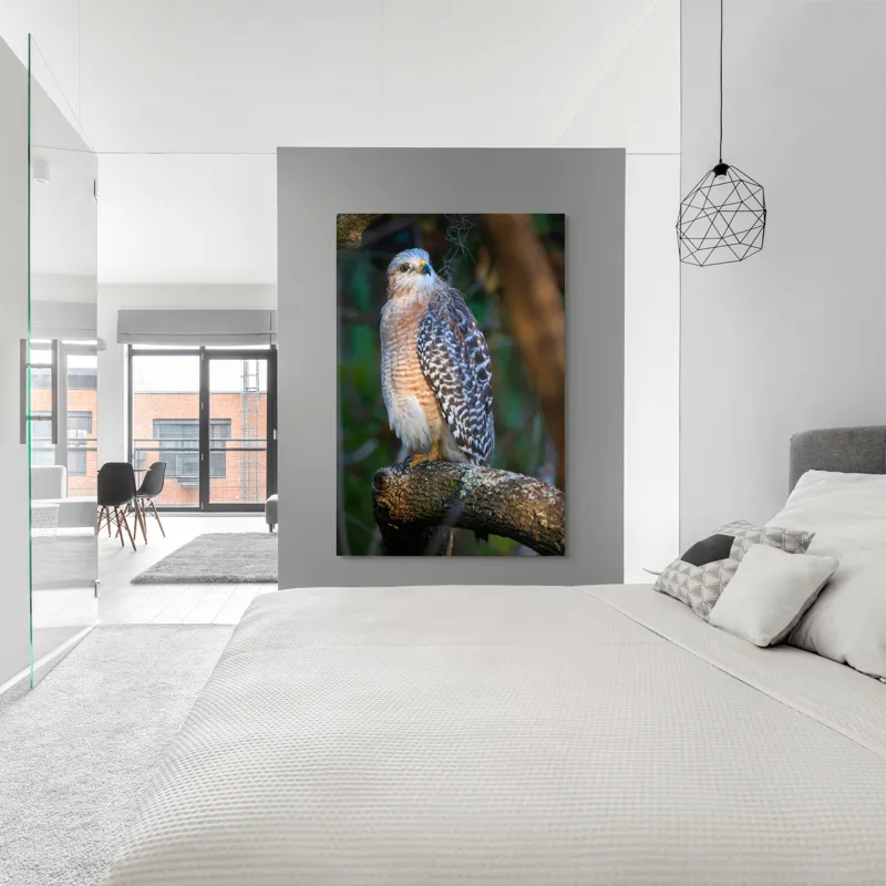 Tablou Canvas, "Șoimul veghează pădurea liniștită", Vultur, Ramură, Pene, Privire, Natură, Lumină, Frumusețe, Sălbatic, Plante, Cer🦅, 100 x 150 cm – poza 5