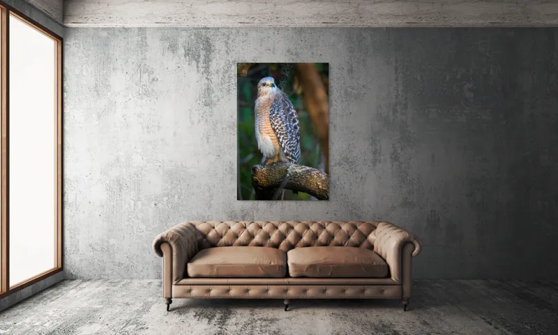 Tablou Canvas, "Șoimul veghează pădurea liniștită", Vultur, Ramură, Pene, Privire, Natură, Lumină, Frumusețe, Sălbatic, Plante, Cer🦅, 100 x 150 cm – poza 6