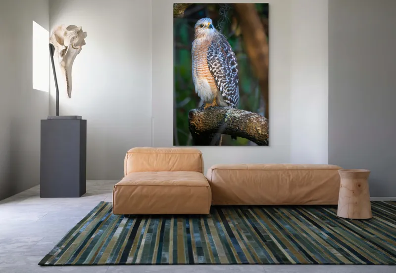 Tablou Canvas, "Șoimul veghează pădurea liniștită", Vultur, Ramură, Pene, Privire, Natură, Lumină, Frumusețe, Sălbatic, Plante, Cer🦅, 100 x 150 cm – poza 7