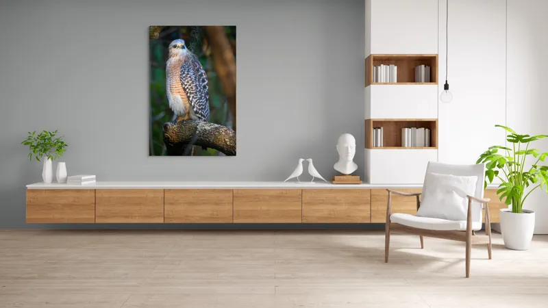 Tablou Canvas, "Șoimul veghează pădurea liniștită", Vultur, Ramură, Pene, Privire, Natură, Lumină, Frumusețe, Sălbatic, Plante, Cer🦅, 100 x 150 cm – poza 8