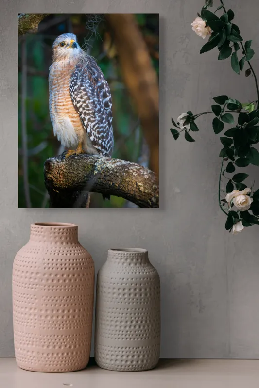 Tablou Canvas, "Șoimul veghează pădurea liniștită", Vultur, Ramură, Pene, Privire, Natură, Lumină, Frumusețe, Sălbatic, Plante, Cer🦅, 39 x 54 cm – poza 6