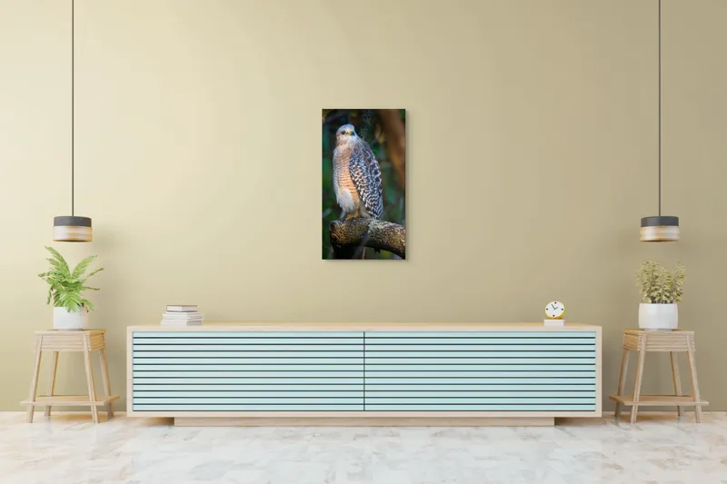 Tablou Canvas, "Șoimul veghează pădurea liniștită", Vultur, Ramură, Pene, Privire, Natură, Lumină, Frumusețe, Sălbatic, Plante, Cer🦅, 50 x 90 cm – poza 6