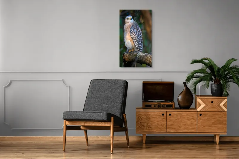 Tablou Canvas, "Șoimul veghează pădurea liniștită", Vultur, Ramură, Pene, Privire, Natură, Lumină, Frumusețe, Sălbatic, Plante, Cer🦅, 50 x 90 cm – poza 8