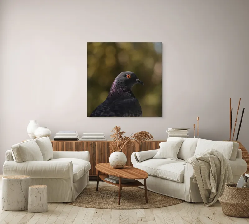Tablou Canvas, "Pacea unei dimineți de toamnă", Porumbel, Ochi, Penaj, Reflectii, Focalizare, Natura, Calmitate, Fundal, Frumos, Detaliu, 100 x 100 cm – poza 3