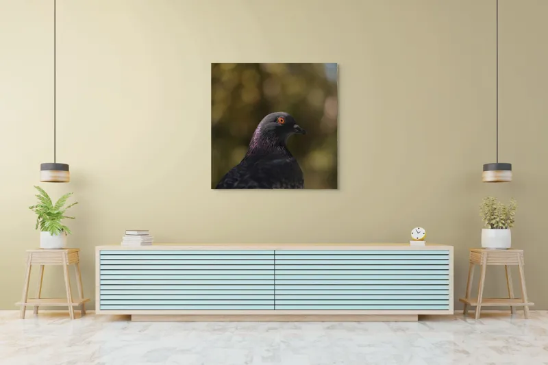 Tablou Canvas, "Pacea unei dimineți de toamnă", Porumbel, Ochi, Penaj, Reflectii, Focalizare, Natura, Calmitate, Fundal, Frumos, Detaliu, 100 x 100 cm – poza 5